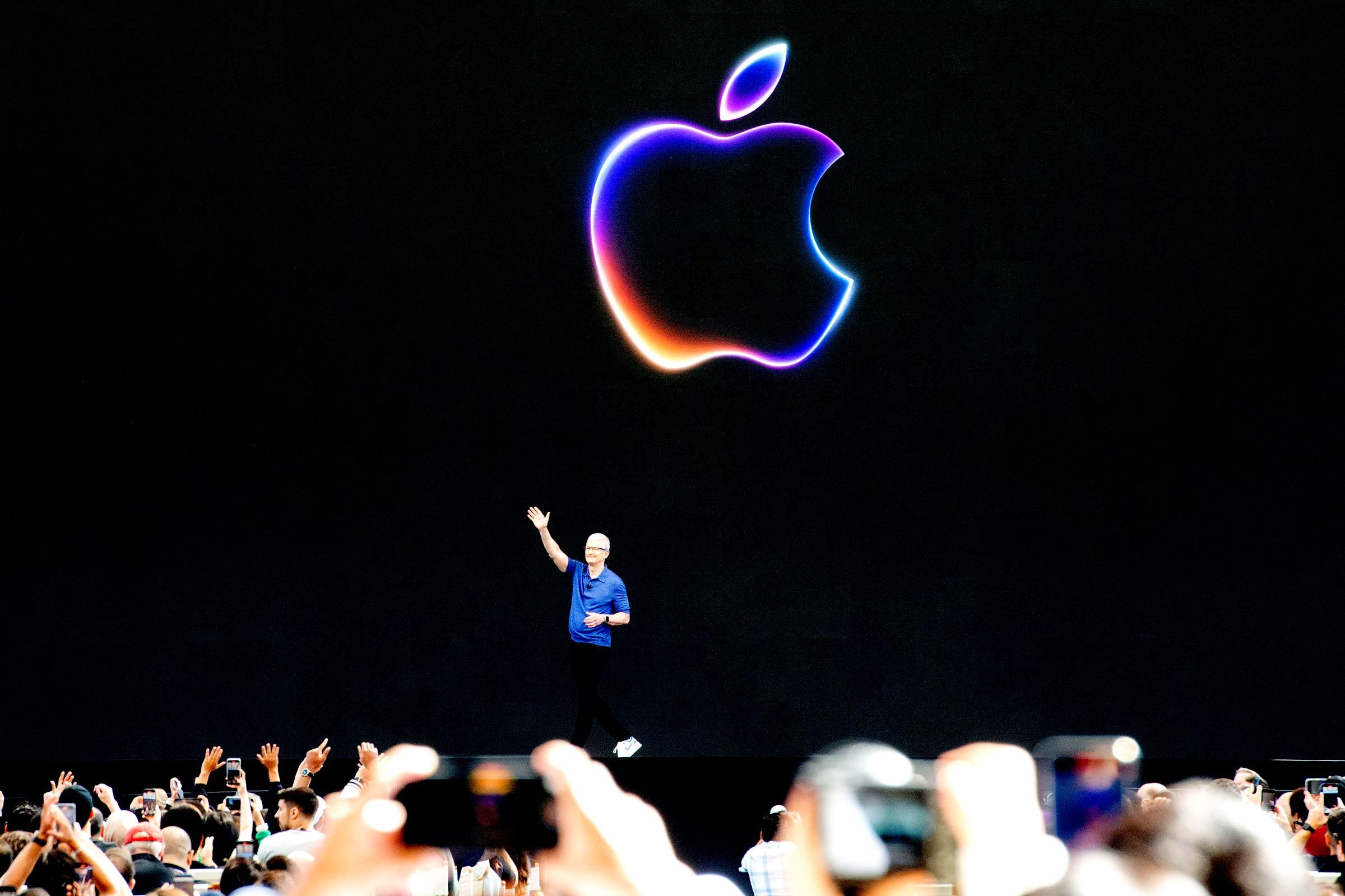 A New Era in Video Sharing and Media Consumption